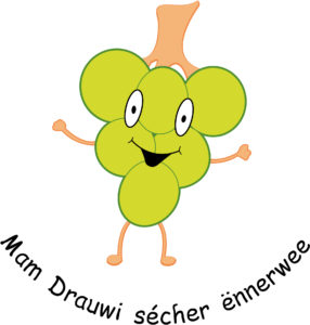 Logo DRAUWI